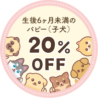 パピー(子犬)割引