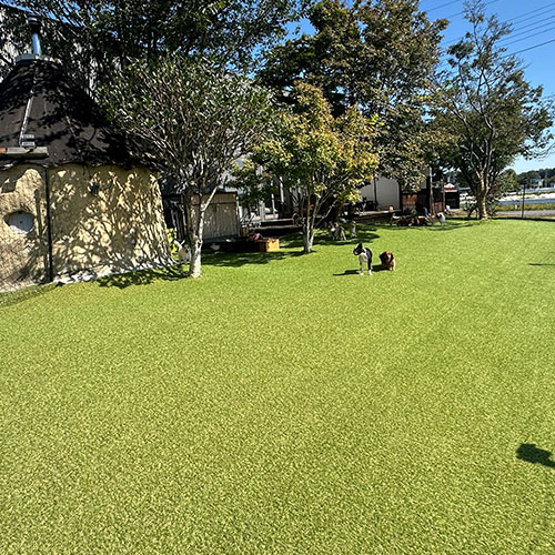 160㎡ドックラン