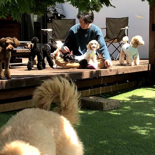 160㎡ドックラン