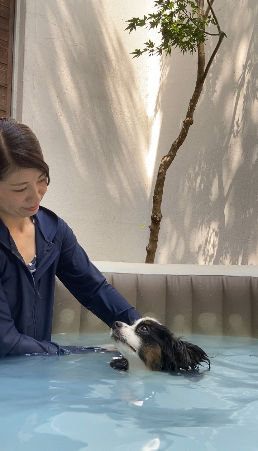 サービス04 Pet Care